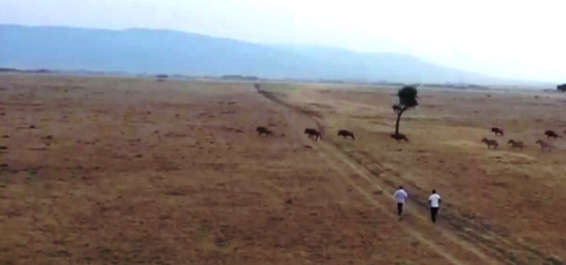Eliud Kipchoge salió a correr por sus enormes llanuras entre animales salvajes