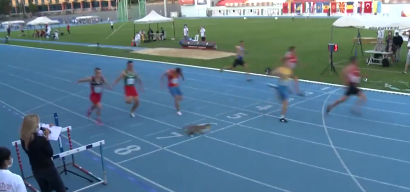 Un gato se cruzó en la llegada de los 100m.